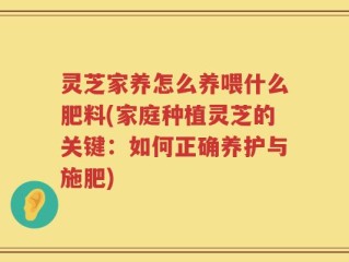 灵芝家养怎么养喂什么肥料(家庭种植灵芝的关键：如何正确养护与施肥)