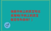 海南干树上的灵芝可以食用吗(干树上的灵芝能否作为食材？)