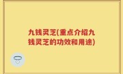 九钱灵芝(重点介绍九钱灵芝的功效和用途)
