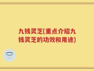 九钱灵芝(重点介绍九钱灵芝的功效和用途)