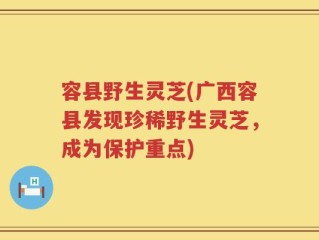 容县野生灵芝(广西容县发现珍稀野生灵芝，成为保护重点)
