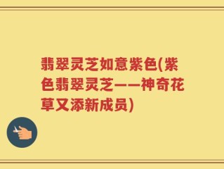 翡翠灵芝如意紫色(紫色翡翠灵芝——神奇花草又添新成员)