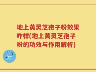 地上黄灵芝孢子粉效果咋样(地上黄灵芝孢子粉的功效与作用解析)