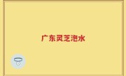 广东灵芝泡水