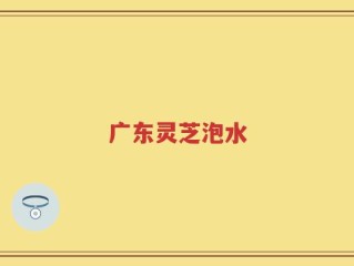 广东灵芝泡水