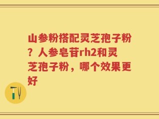 山参粉搭配灵芝孢子粉？人参皂苷rh2和灵芝孢子粉，哪个效果更好
