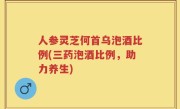 人参灵芝何首乌泡酒比例(三药泡酒比例，助力养生)
