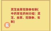 灵芝虫草花旗参石斛(中药常见药材介绍：灵芝、虫草、花旗参、石斛)
