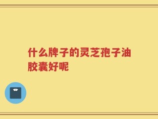 什么牌子的灵芝孢子油胶囊好呢