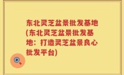 东北灵芝盆景批发基地(东北灵芝盆景批发基地：打造灵芝盆景良心批发平台)