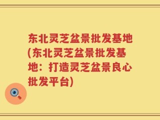 东北灵芝盆景批发基地(东北灵芝盆景批发基地：打造灵芝盆景良心批发平台)