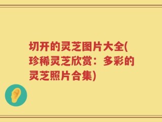 切开的灵芝图片大全(珍稀灵芝欣赏：多彩的灵芝照片合集)