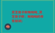 灵芝孢子粉梅呦呦_灵芝孢子粉：梅呦呦的养生秘诀)