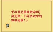 千年灵芝草能救命吗(灵芝草：千年传说中的救命仙草？)
