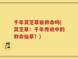 千年灵芝草能救命吗(灵芝草：千年传说中的救命仙草？)