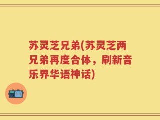 苏灵芝兄弟(苏灵芝两兄弟再度合体，刷新音乐界华语神话)