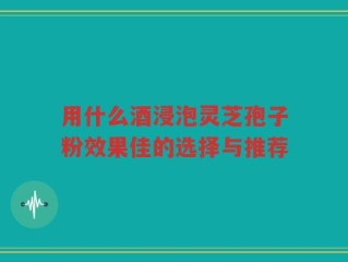用什么酒浸泡灵芝孢子粉效果佳的选择与推荐