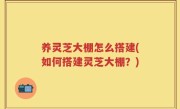 养灵芝大棚怎么搭建(如何搭建灵芝大棚？)