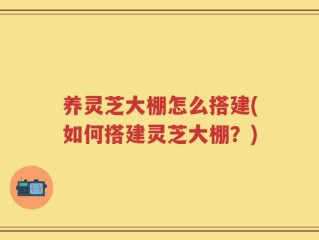 养灵芝大棚怎么搭建(如何搭建灵芝大棚？)