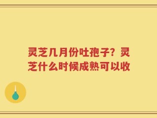 灵芝几月份吐孢子？灵芝什么时候成熟可以收