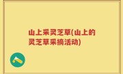 山上采灵芝草(山上的灵芝草采摘活动)