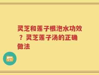 灵芝和莲子根泡水功效 ？灵芝莲子汤的正确做法