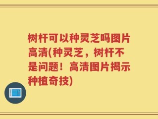 树杆可以种灵芝吗图片高清(种灵芝，树杆不是问题！高清图片揭示种植奇技)