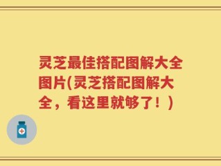 灵芝最佳搭配图解大全图片(灵芝搭配图解大全，看这里就够了！)
