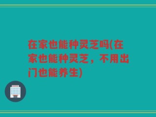 在家也能种灵芝吗(在家也能种灵芝，不用出门也能养生)