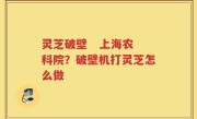 灵芝破壁 上海农科院?破壁机打灵芝怎么做