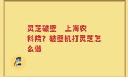 灵芝破壁   上海农科院？破壁机打灵芝怎么做