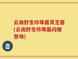 云南野生珍珠菌灵芝菌(云南野生珍珠菌闪耀登场)