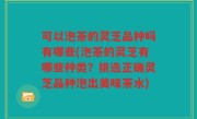 可以泡茶的灵芝品种吗有哪些(泡茶的灵芝有哪些种类？挑选正确灵芝品种泡出美味茶水)