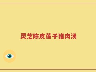 灵芝陈皮莲子猪肉汤