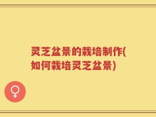 灵芝盆景的栽培制作(如何栽培灵芝盆景)