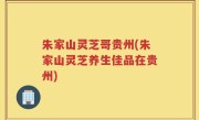 朱家山灵芝哥贵州(朱家山灵芝养生佳品在贵州)