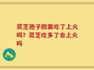 灵芝孢子胶囊吃了上火吗？灵芝吃多了会上火吗