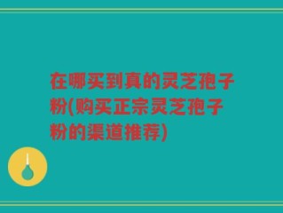 在哪买到真的灵芝孢子粉(购买正宗灵芝孢子粉的渠道推荐)