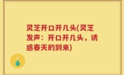 灵芝开口开几头(灵芝发声：开口开几头，诱惑春天的到来)