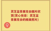 灵芝盆景展览会图片欣赏(赏心悦目：灵芝盆景展览会的精美照片)