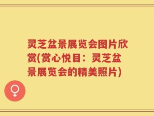 灵芝盆景展览会图片欣赏(赏心悦目：灵芝盆景展览会的精美照片)