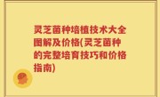 灵芝菌种培植技术大全图解及价格(灵芝菌种的完整培育技巧和价格指南)