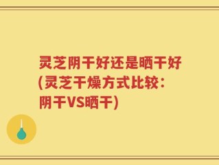 灵芝阴干好还是晒干好(灵芝干燥方式比较：阴干VS晒干)