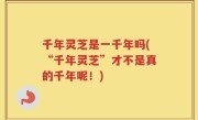千年灵芝是一千年吗(“千年灵芝”才不是真的千年呢！)