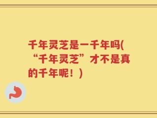 千年灵芝是一千年吗(“千年灵芝”才不是真的千年呢！)