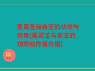 黑灵芝和赤芝的功效与作用(黑灵芝与赤芝的功效和作用介绍)