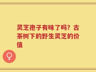 灵芝孢子有味了吗？古茶树下的野生灵芝的价值