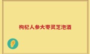 枸杞人参大枣灵芝泡酒