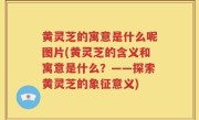 黄灵芝的寓意是什么呢图片(黄灵芝的含义和寓意是什么？——探索黄灵芝的象征意义)