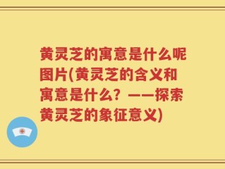 黄灵芝的寓意是什么呢图片(黄灵芝的含义和寓意是什么？——探索黄灵芝的象征意义)